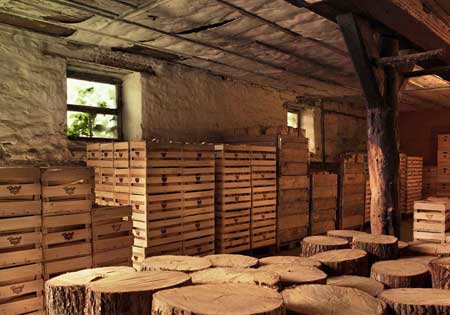 Gscheit oder gar nicht